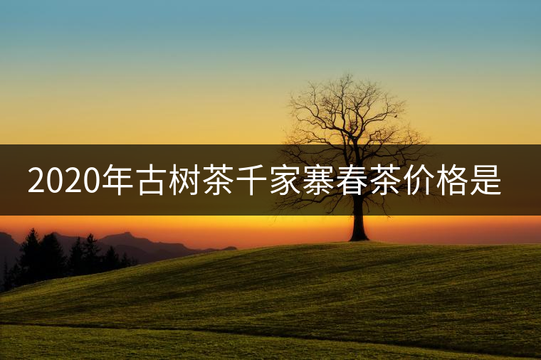 2020年古樹茶千家寨春茶價(jià)格是多少？