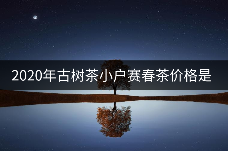 2020年古樹茶小戶賽春茶價格是多少？