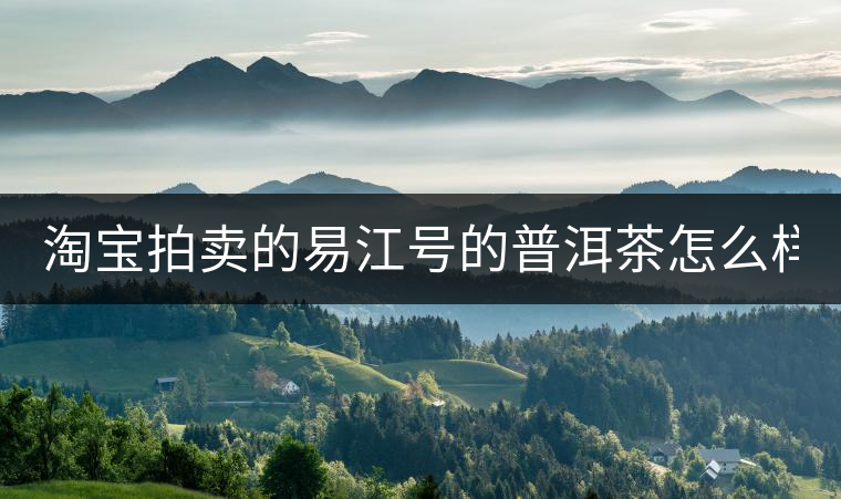 淘寶拍賣的易江號(hào)的普洱茶怎么樣？