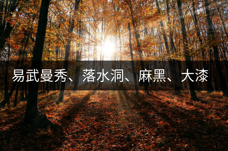 易武曼秀、落水洞、麻黑、大漆樹等你更喜歡哪個(gè)茶？