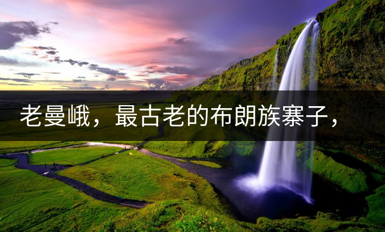 老曼峨，最古老的布朗族寨子，最極端的普洱茶