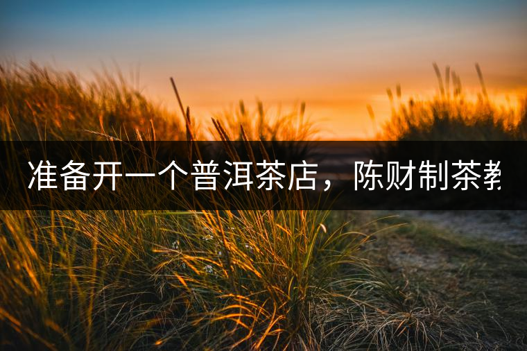 準備開一個普洱茶店，陳財制茶教你怎么做！