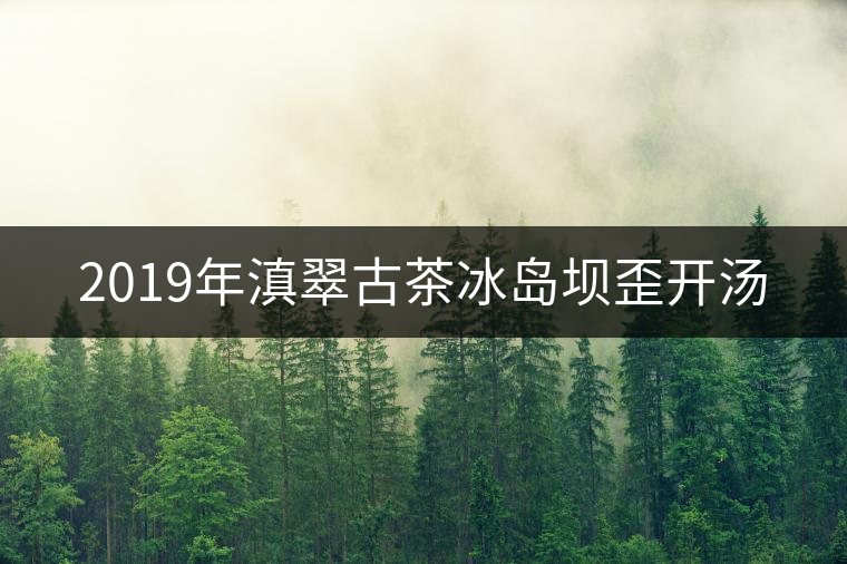 2019年滇翠古茶冰島壩歪開(kāi)湯 2019年滇翠古茶冰島壩歪開(kāi)湯
