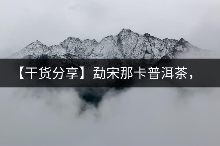 【干貨分享】勐宋那卡普洱茶，不僅僅是小班章那么單純！
