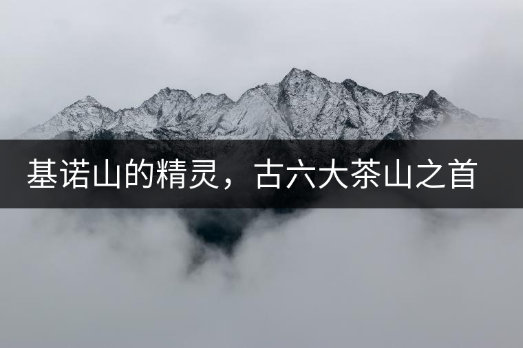 基諾山的精靈，古六大茶山之首武侯遺種攸樂(lè)古樹茶