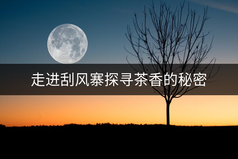 走進刮風寨探尋茶香的秘密 走進刮風寨探尋茶香的秘密