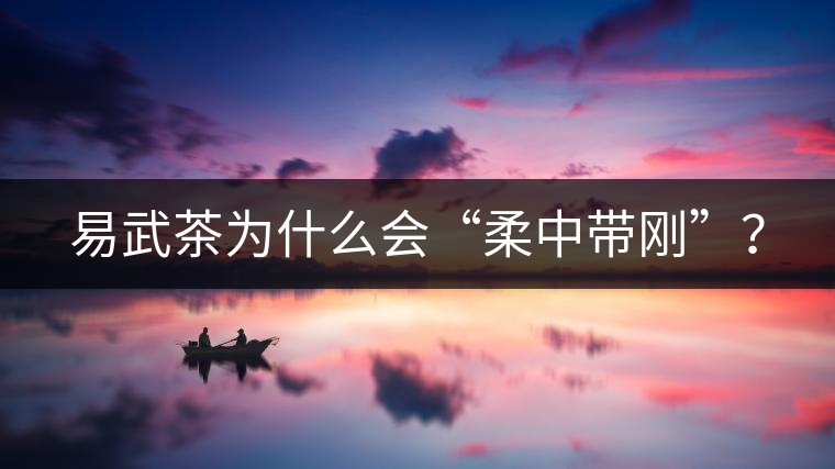 易武茶為什么會(huì)“柔中帶剛”？