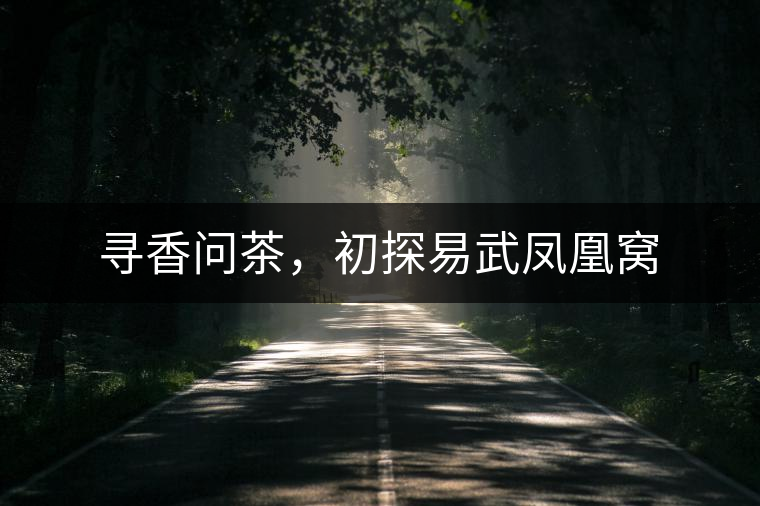 尋香問茶，初探易武鳳凰窩