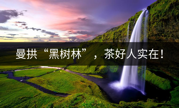 曼拱“黑樹林”，茶好人實在！