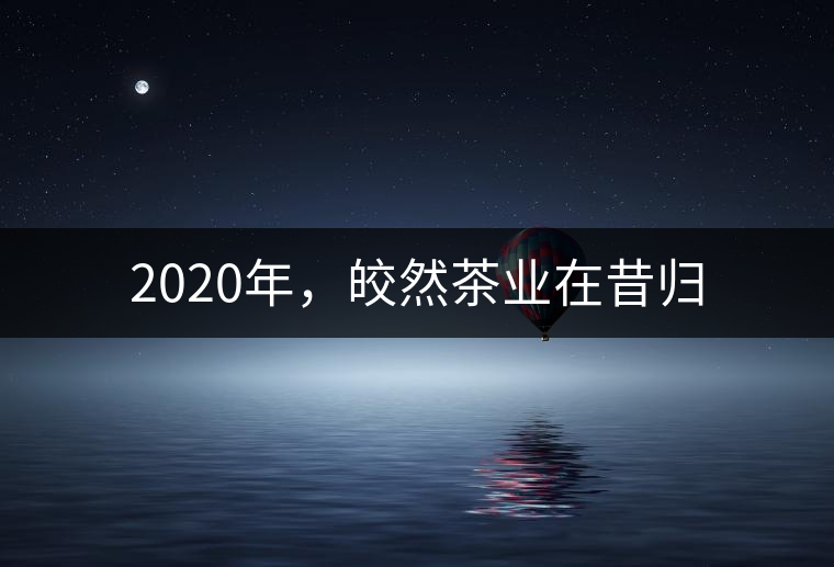 2020年，皎然茶業(yè)在昔歸
