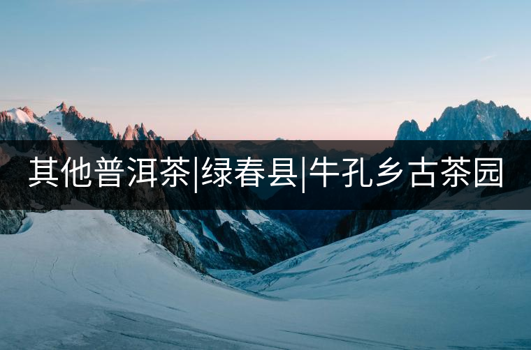 其他普洱茶|綠春縣|?？奏l(xiāng)古茶園