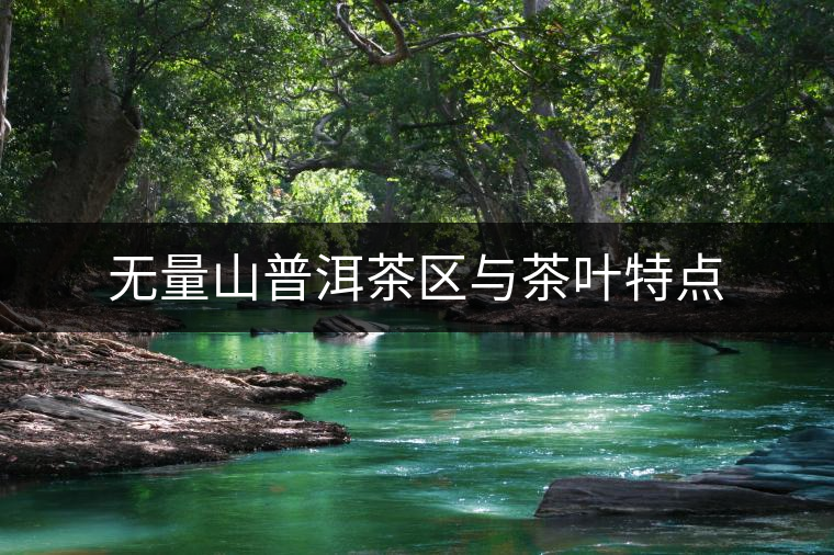 無(wú)量山普洱茶區(qū)與茶葉特點(diǎn) 無(wú)量山普洱茶區(qū)與茶葉特點(diǎn)