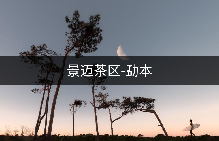景邁茶區(qū)-勐本 景邁茶區(qū)-勐本
