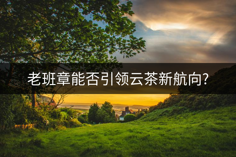 老班章能否引領云茶新航向?