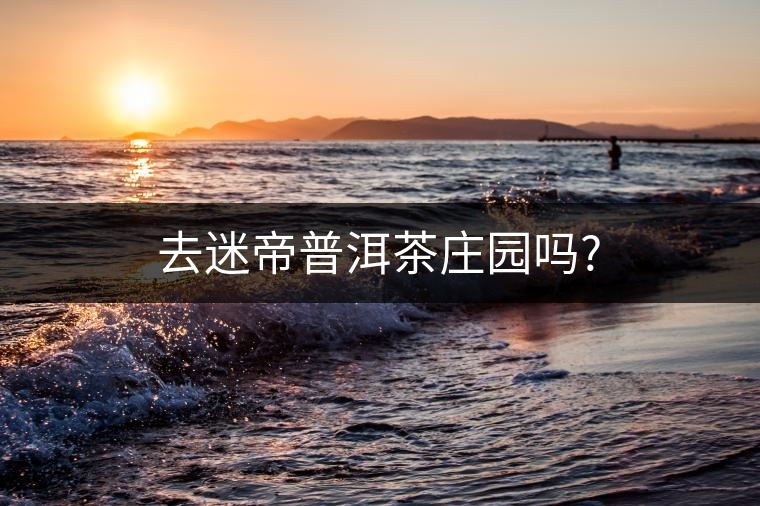 去迷帝普洱茶莊園嗎? 去迷帝普洱茶莊園嗎?