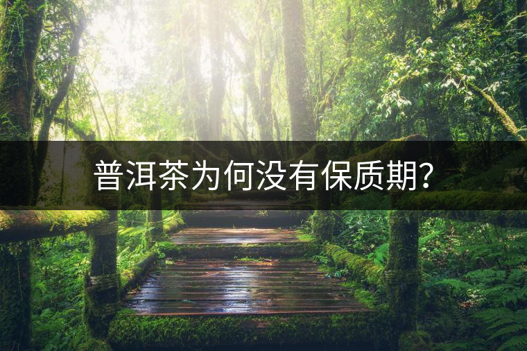 普洱茶為何沒有保質期？