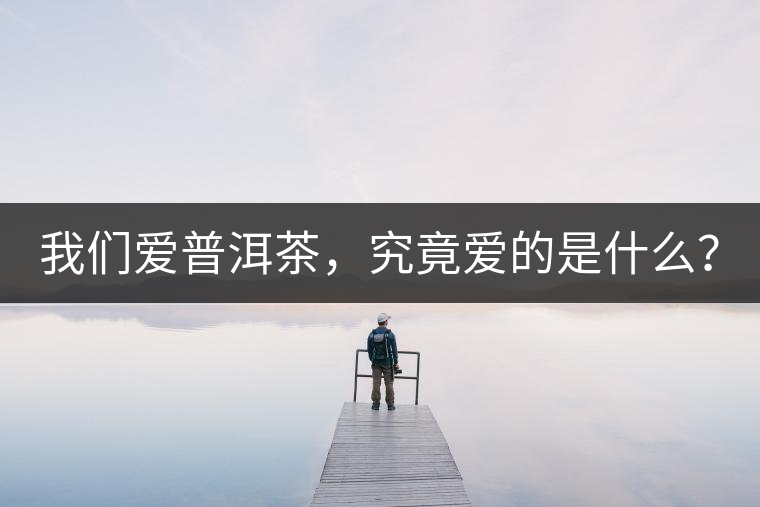 我們愛(ài)普洱茶，究竟愛(ài)的是什么？