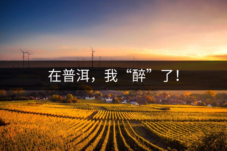 在普洱，我“醉”了！