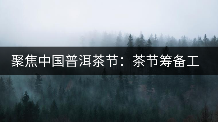 聚焦中國普洱茶節(jié):茶節(jié)籌備工作有序推進(jìn) 聚焦中國普洱茶節(jié):茶節(jié)籌備工作有序推進(jìn)