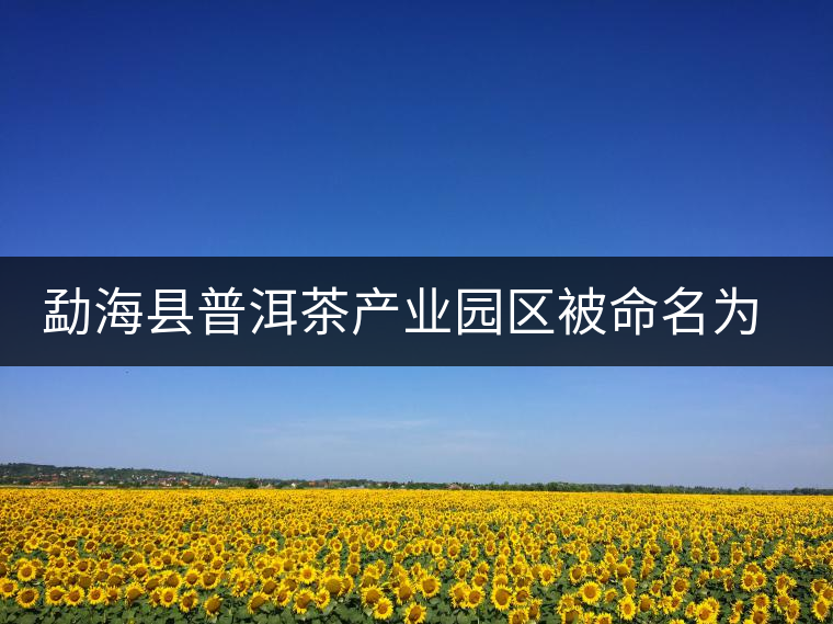 勐?？h普洱茶產(chǎn)業(yè)園區(qū)被命名為 