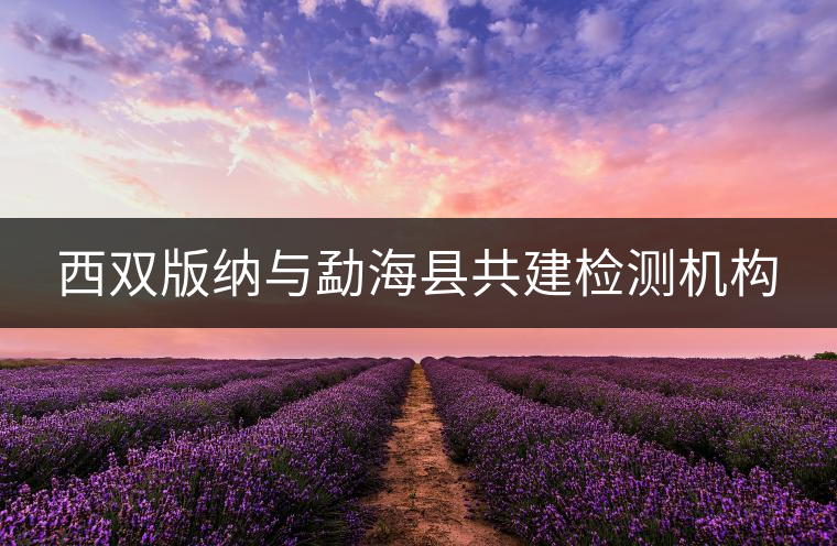 西雙版納與勐?？h共建檢測(cè)機(jī)構(gòu)