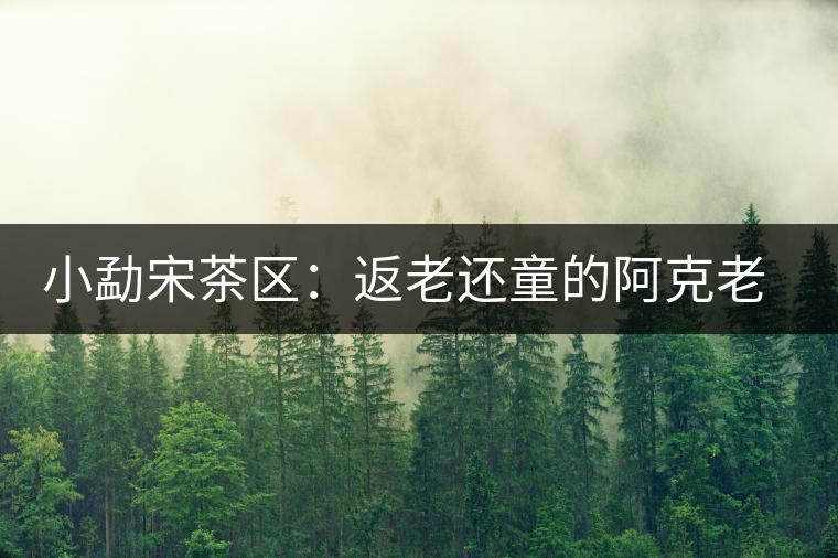 小勐宋茶區(qū):返老還童的阿克老人 小勐宋茶區(qū):返老還童的阿克老人