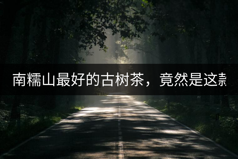 南糯山最好的古樹茶，竟然是這款！