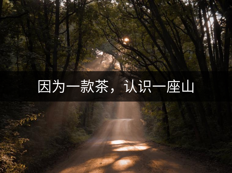 因?yàn)橐豢畈?,認(rèn)識(shí)一座山 因?yàn)橐豢畈瑁J(rèn)識(shí)一座山