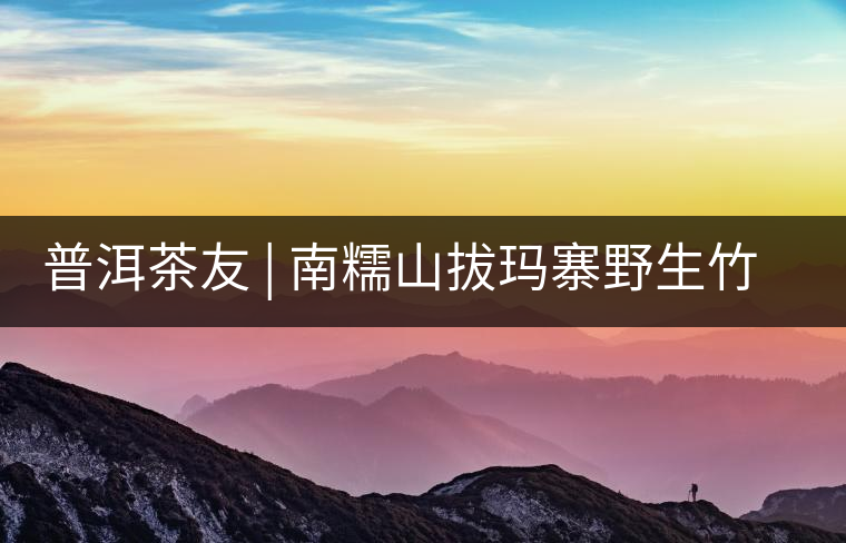 普洱茶友 | 南糯山拔瑪寨野生竹蓀給看過(guò)？