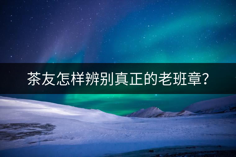 茶友怎樣辨別真正的老班章？