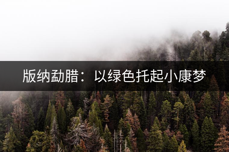 版納勐臘：以綠色托起小康夢