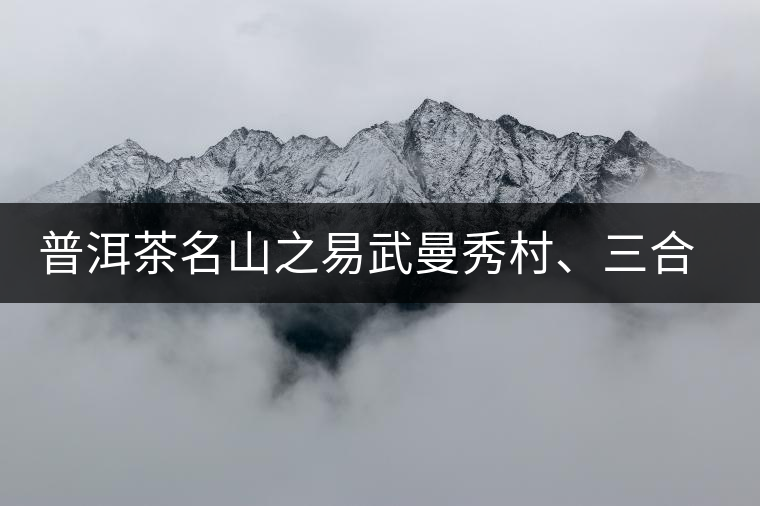 普洱茶名山之易武曼秀村、三合社村