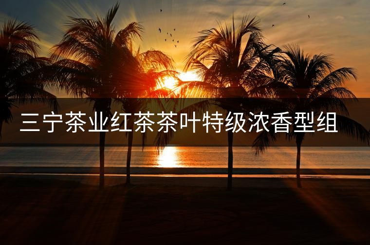 三寧茶業(yè)紅茶茶葉特級濃香型組合試喝分享裝散裝袋滇紅古樹茶 三寧茶業(yè)紅茶茶葉特級濃香型組合試喝分享裝散裝袋滇紅古樹茶