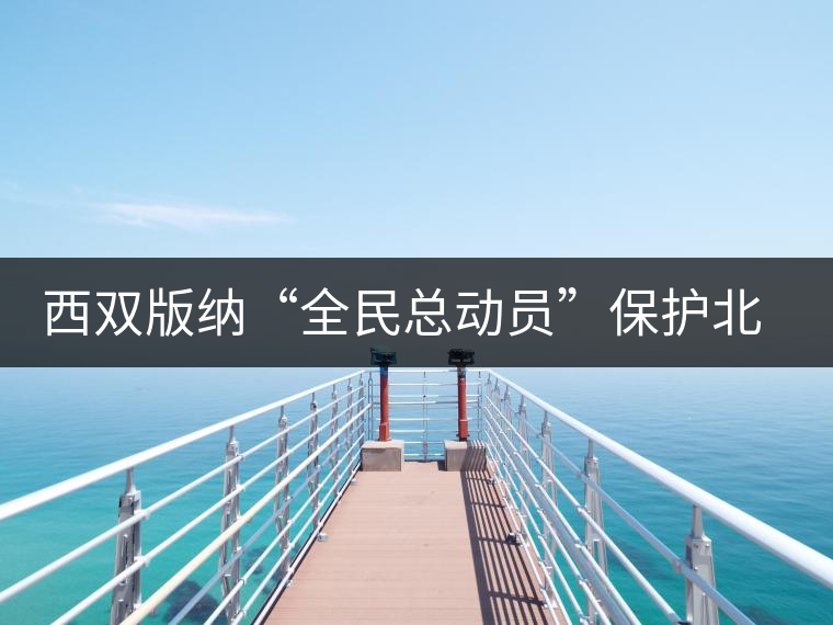 西雙版納“全民總動員”保護(hù)北回歸線唯一綠洲