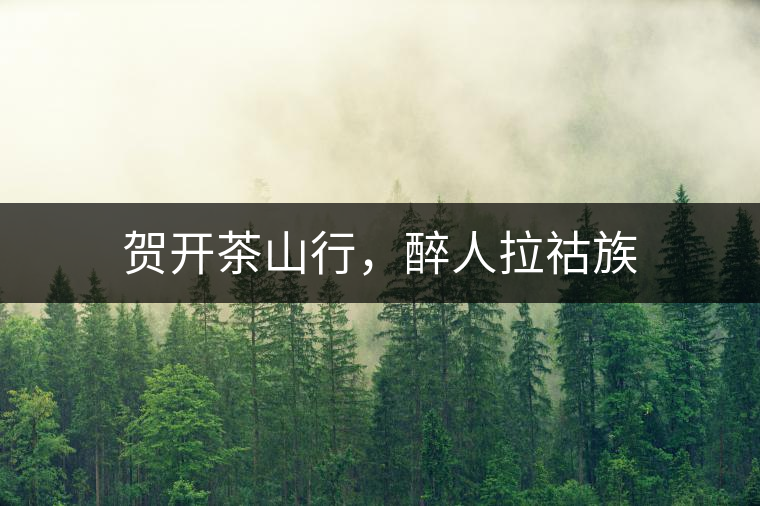 賀開茶山行，醉人拉祜族