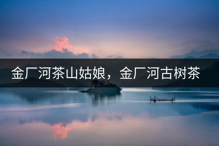 金廠河茶山姑娘，金廠河古樹茶特點與價格