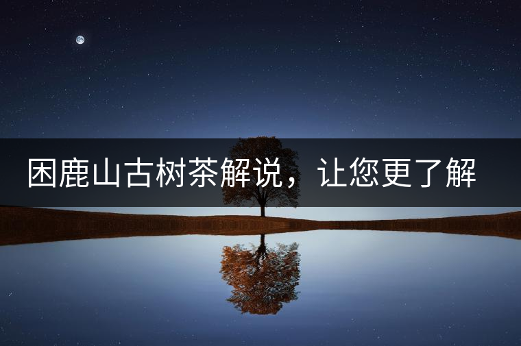 困鹿山古樹茶解說(shuō)，讓您更了解古樹貢茶