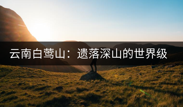 云南白鶯山：遺落深山的世界級“茶博物館”