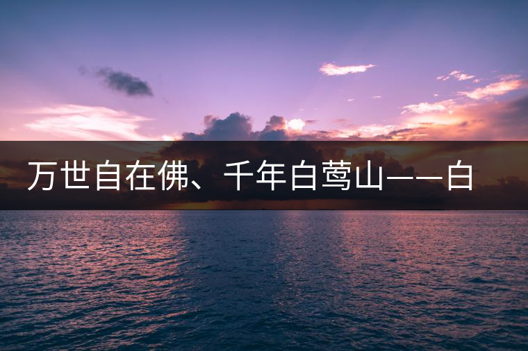 萬世自在佛、千年白鶯山——白鶯山古樹茶特點