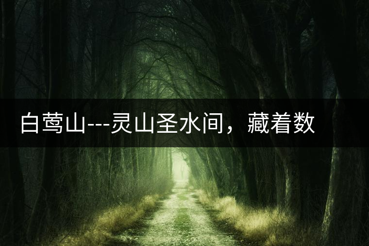 白鶯山---靈山圣水間，藏著數(shù)不盡的佛茶佳話