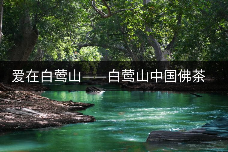 愛在白鶯山——白鶯山中國(guó)佛茶勝地 愛在白鶯山——白鶯山中國(guó)佛茶勝地