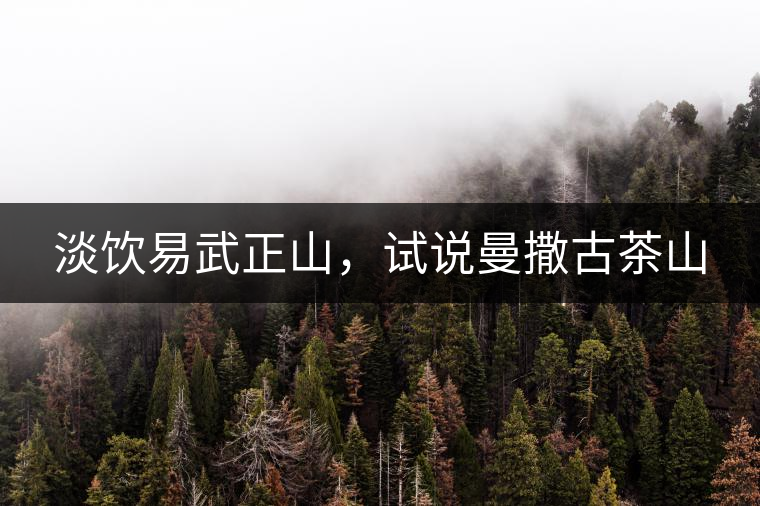 淡飲易武正山，試說曼撒古茶山