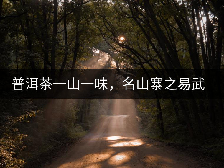 普洱茶一山一味，名山寨之易武彎弓瑤族丁家寨