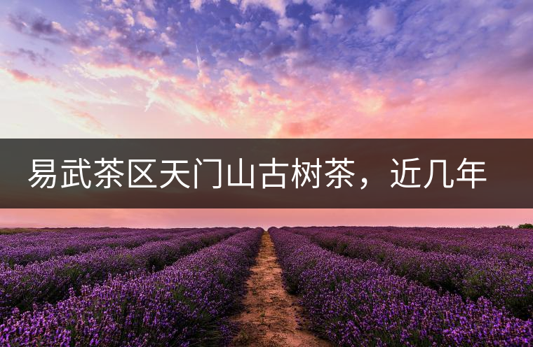 易武茶區(qū)天門山古樹(shù)茶，近幾年的熱門山頭