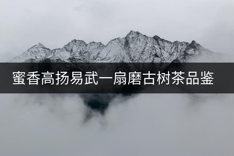 蜜香高揚(yáng)易武一扇磨古樹茶品鑒開湯 蜜香高揚(yáng)易武一扇磨古樹茶品鑒開湯