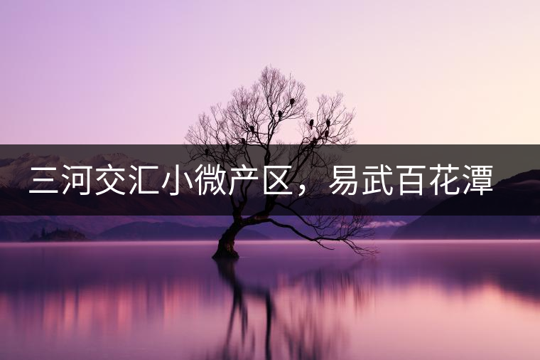 三河交匯小微產(chǎn)區(qū)，易武百花潭古茶園介紹