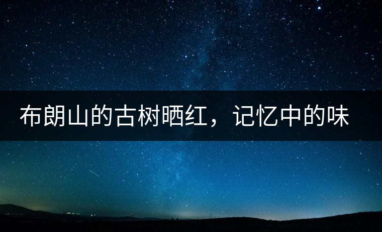 布朗山的古樹曬紅，記憶中的味道