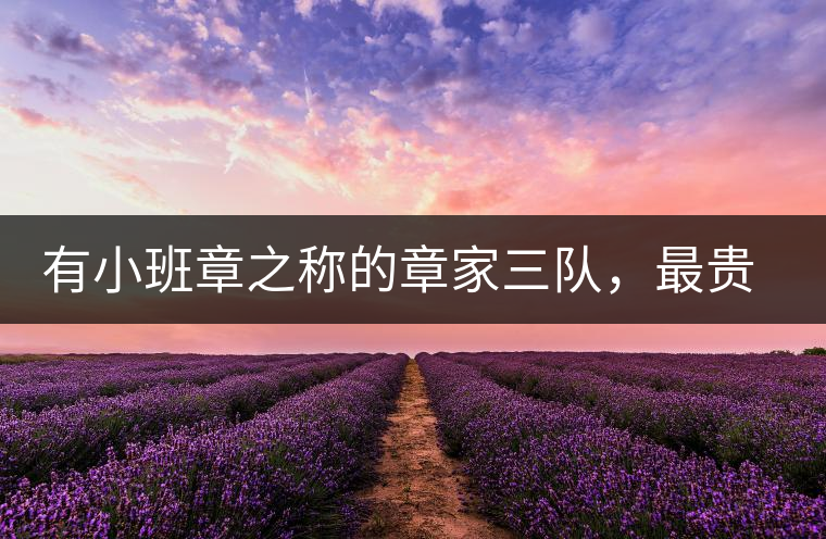 有小班章之稱的章家三隊，最貴的小樹茶