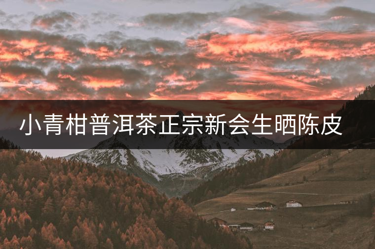 小青柑普洱茶正宗新會生曬陳皮熟茶8年黑茶柑橘柑普茶罐裝品鑒裝 小青柑普洱茶正宗新會生曬陳皮熟茶8年黑茶柑橘柑普茶罐裝品鑒裝