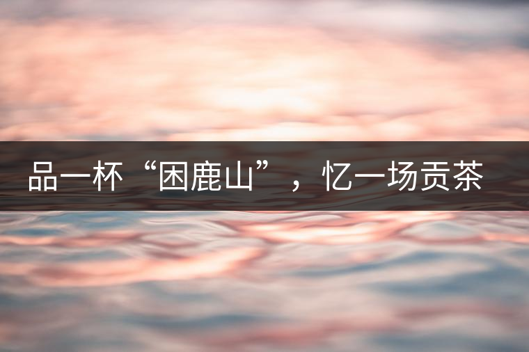 品一杯“困鹿山”，憶一場貢茶情